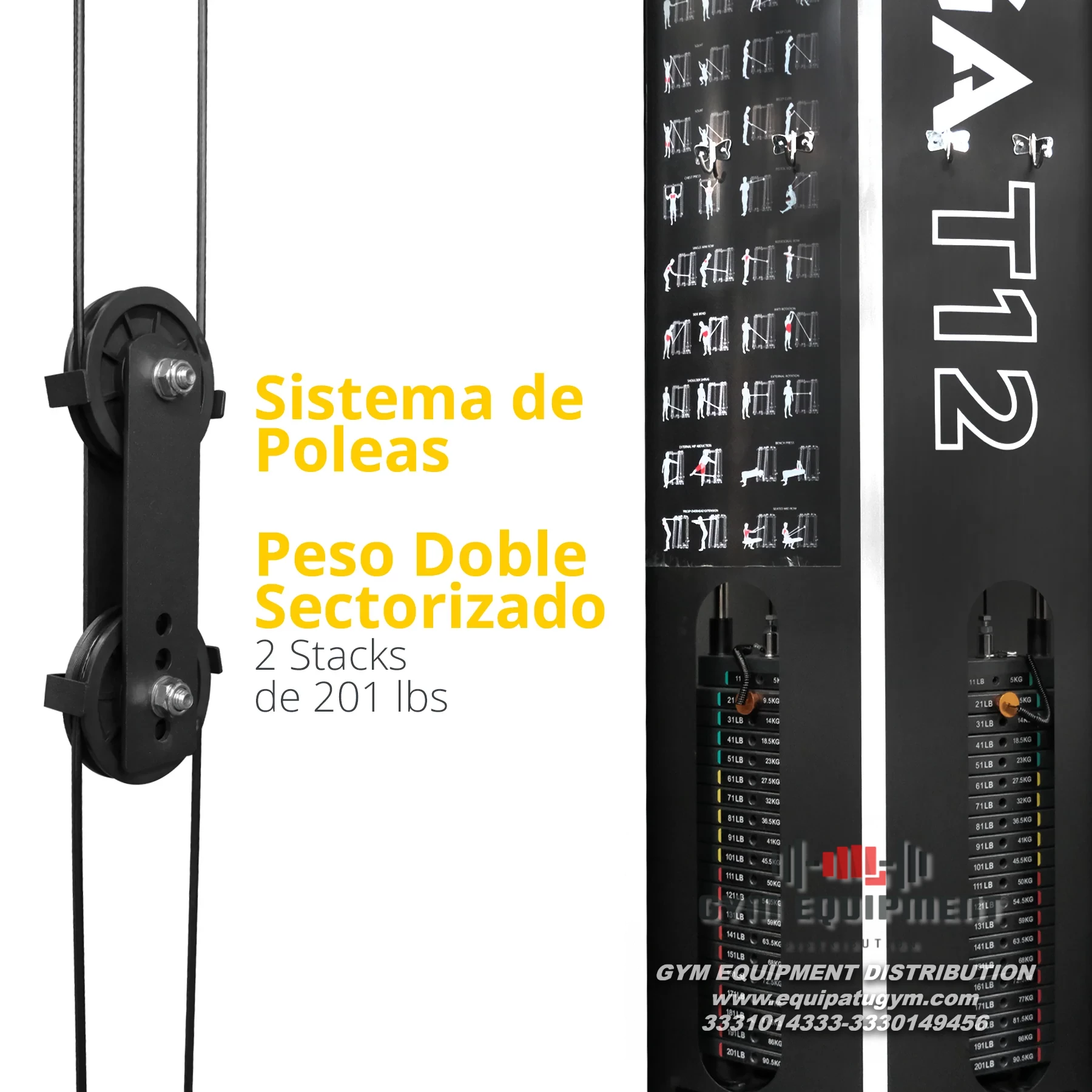 Máquina Tayga T12 para Entrenamiento de Fuerza