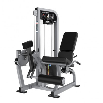 Leg Extension tipo Lifefitness Pro 2